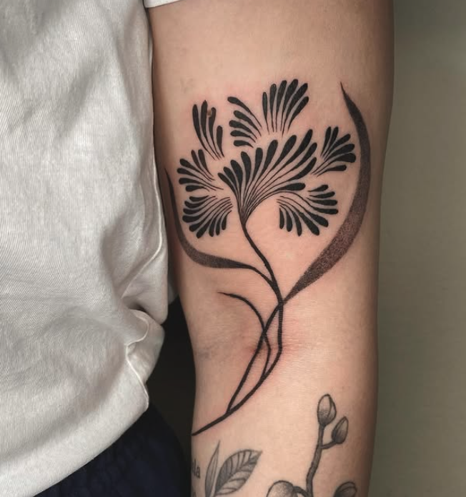 amanda-oli4